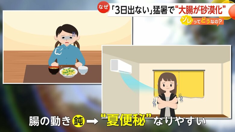 急増する「夏便秘」…原因は大腸の“砂漠化”　大腸まで届くのは摂取した水分量の約1割　大量に汗をかくとさらに減少｜FNNプライムオンライン