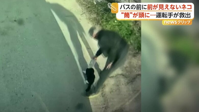 頭に缶がはまり前が見えないネコをバス運転手が救出 トルコ 迷子のロバ2頭を発見…かわいさに思わず警察官も絶叫 アメリカ|FNNプライムオンライン