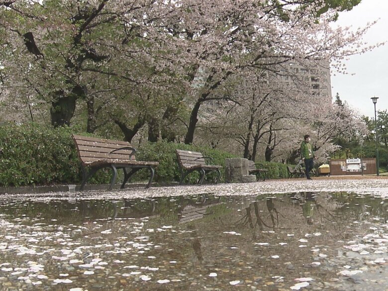 見頃の桜散る…東海3県は「春の嵐」9日昼前まで大気の状態が不安定で風雨強まる 午後にかけさらに強まる恐れも｜FNNプライムオンライン