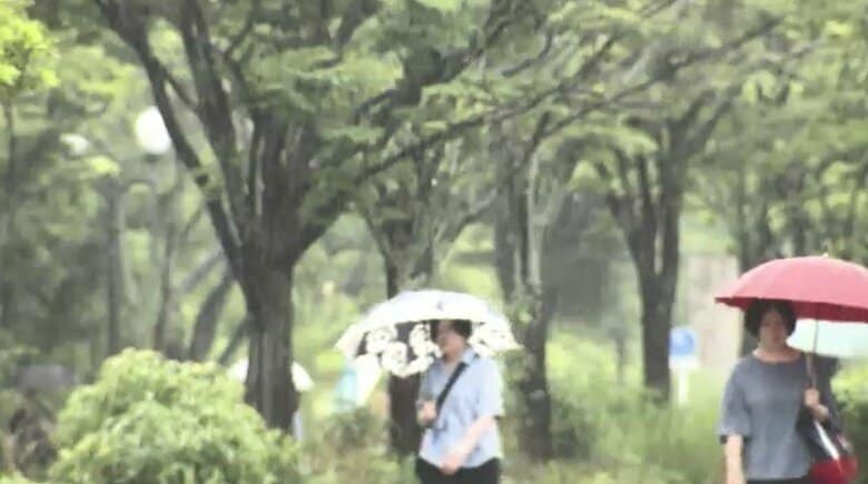 2日明け方にかけて雷を伴った大雨のおそれ　福岡の予想雨量を詳しく　土砂災害に厳重警戒呼びかけ　梅雨前線の影響　気象台｜FNNプライムオンライン
