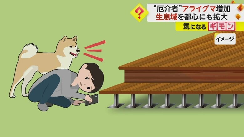 飼い犬がウッドデッキに向かって吠えていたため、飼い主は隙間からスマホで撮影