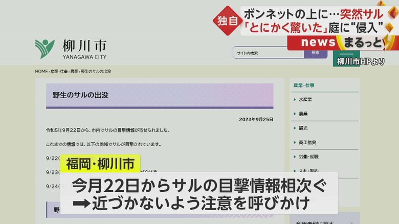 目撃情報が相次ぎ、不用意にサルに近づかないよう福岡・柳川市が呼びかけている