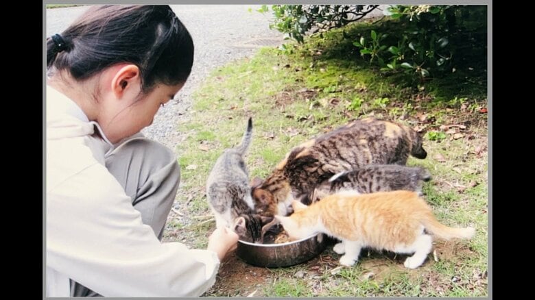 平成22（2010）年 赤坂御用地で猫の世話をされる愛子さま（宮内庁提供）