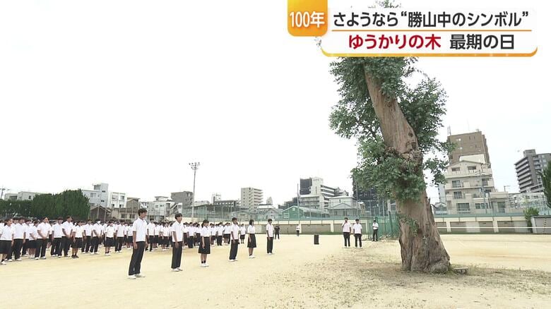 木の愛称は「ゆうかり」