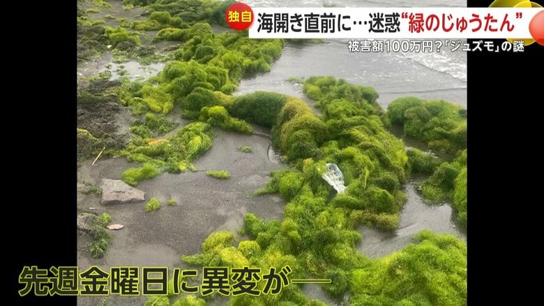 最初に異変が起きたのは11日