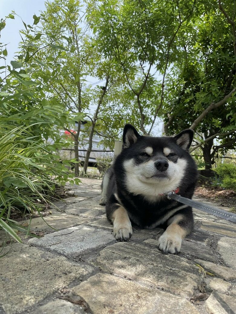 動物病院の定期検診で1時間待ち　呼ばれたけれども…