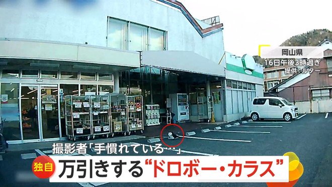 カラスが店頭のカップ麺をくわえて飛び立つ瞬間（16日午後3時過ぎ、岡山県のスーパーマーケット）③