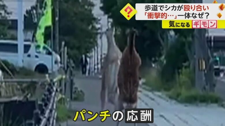 （北海道根室振興局）