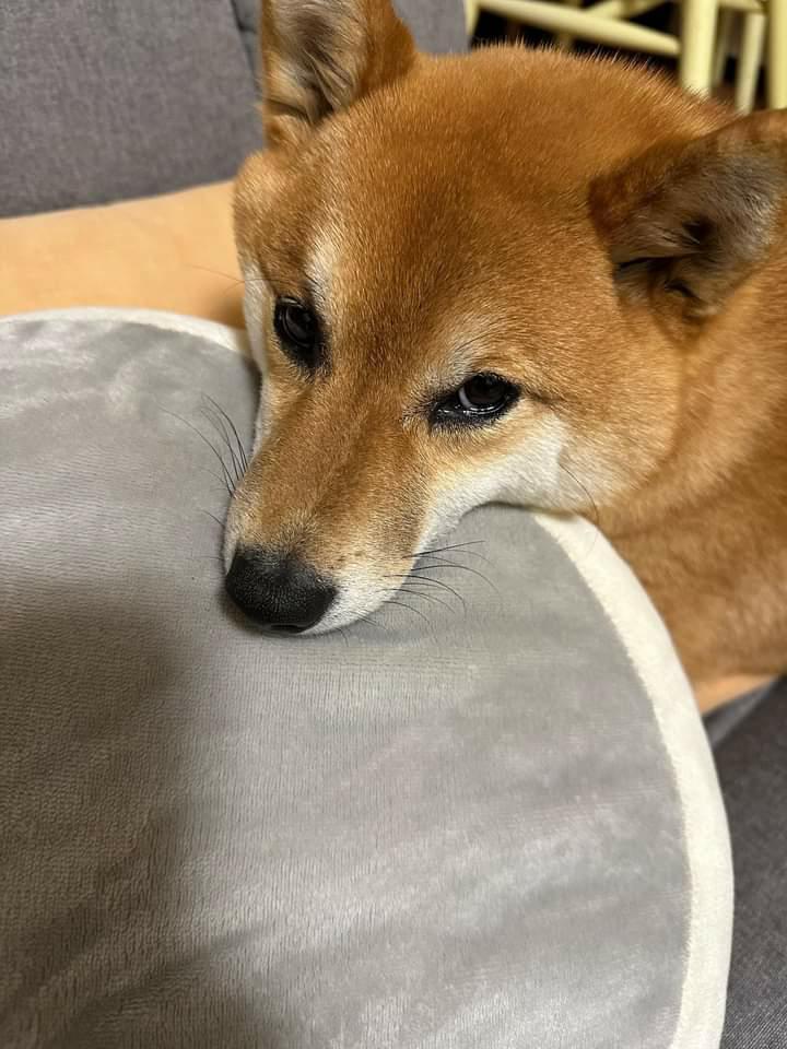 提供：カンさん