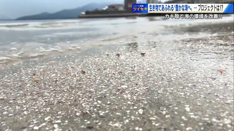 細かく砕いたカキ殻が混ざる地御前の海