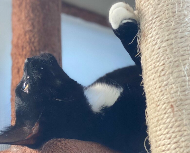 ハルくんは写真映りが良いという