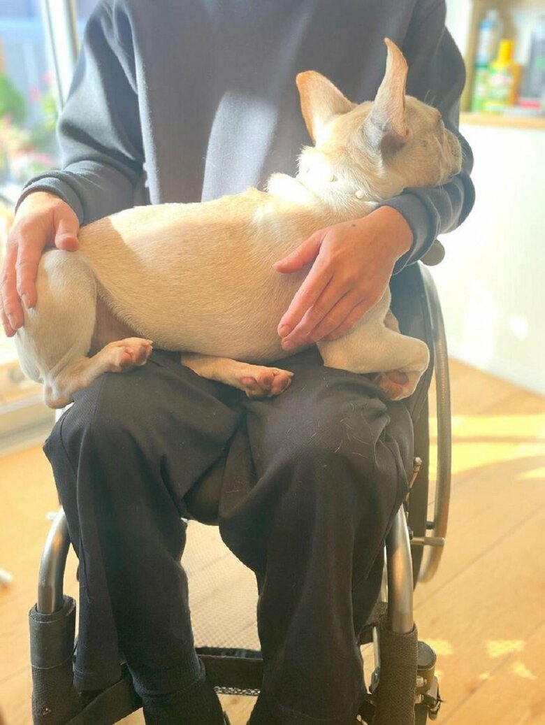 飼い主さんの旦那さんの膝上