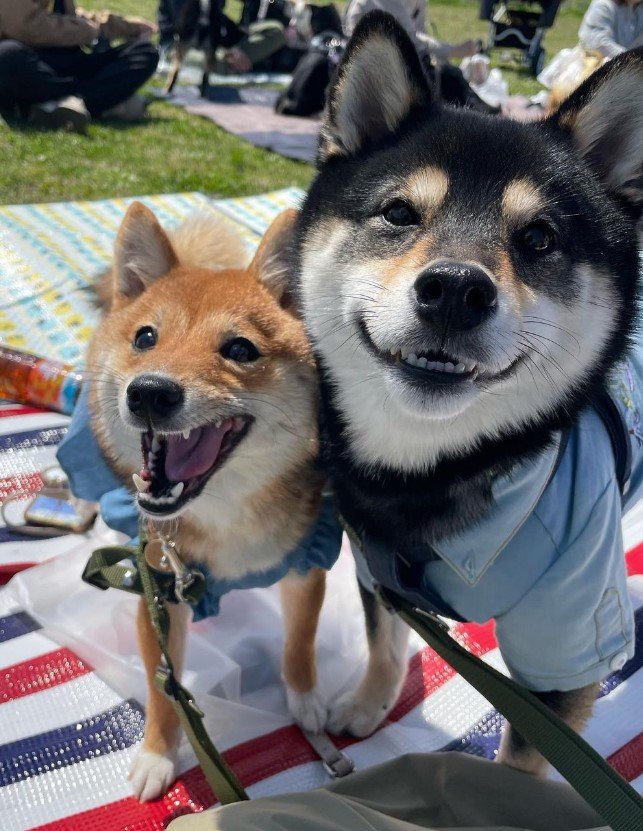 提供：まめふく&ゆめくりさん