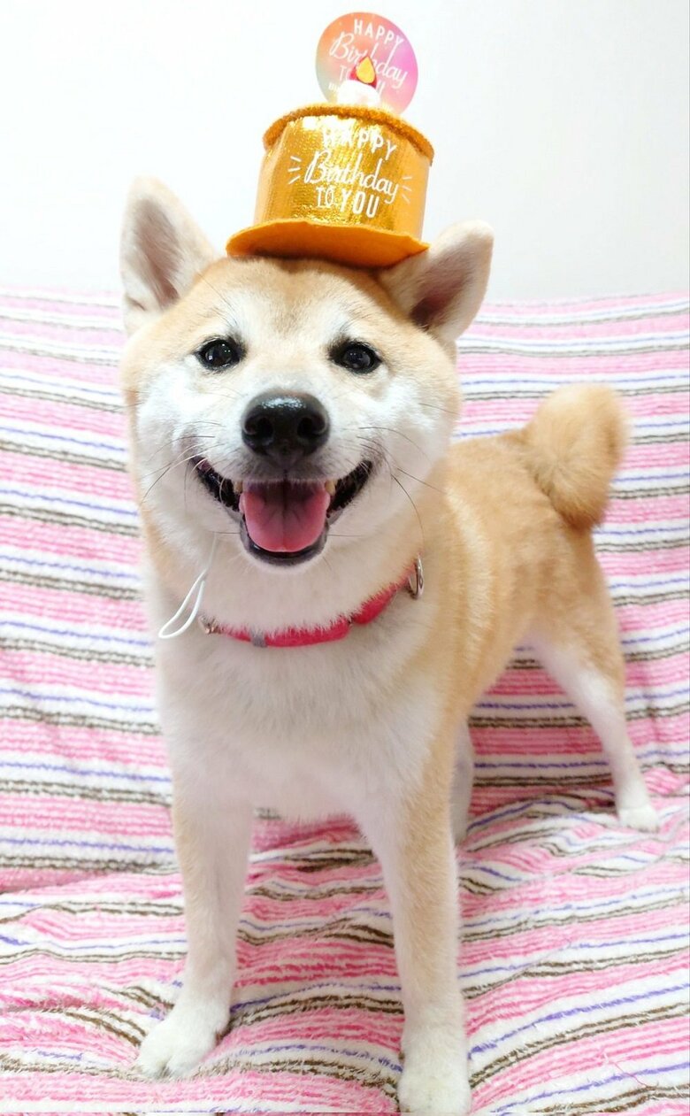 5歳の誕生日も迎えました