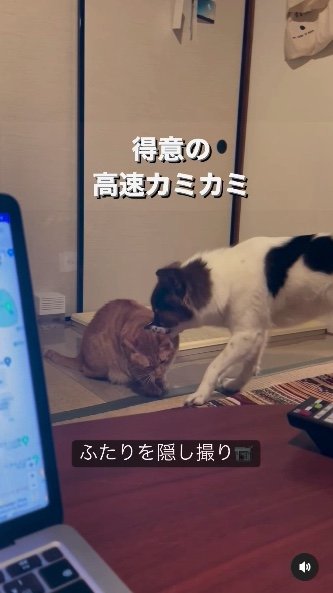 提供：naomiさん