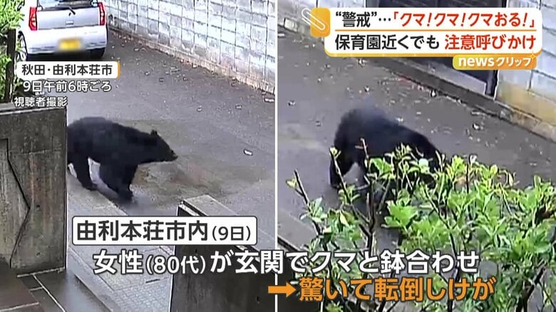 住宅街を堂々と歩くクマ（9日午前6時頃、秋田・由利本荘市）