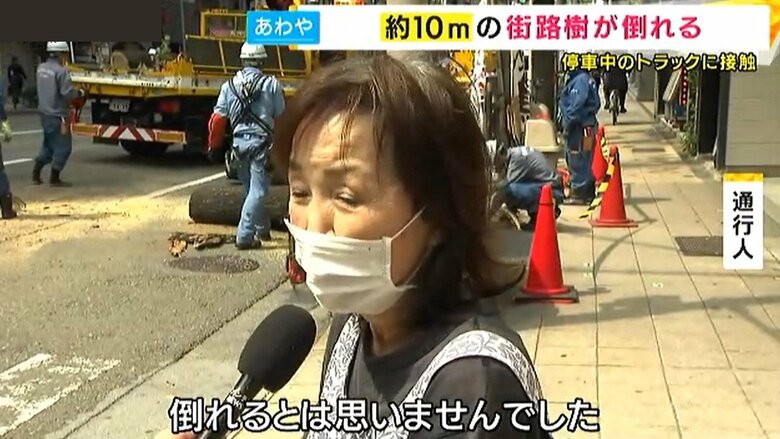 「倒れるとは思いませんでした」