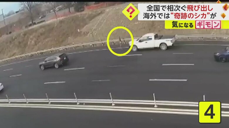 5台目の白い車の前を横切り