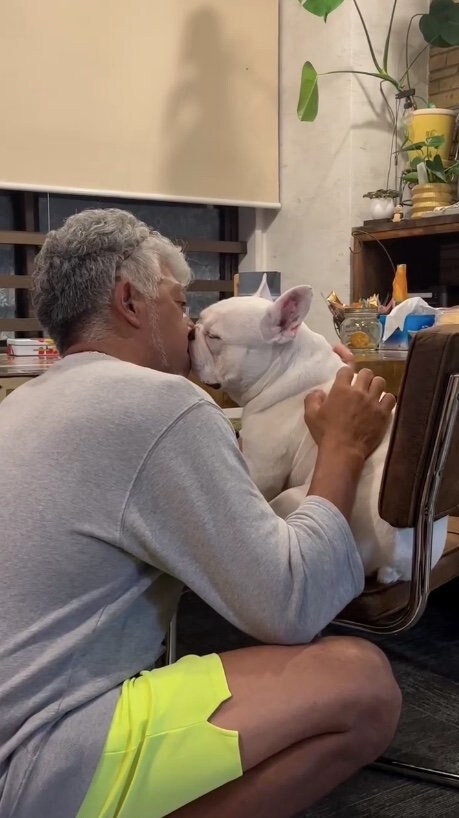 提供：こぶしさん