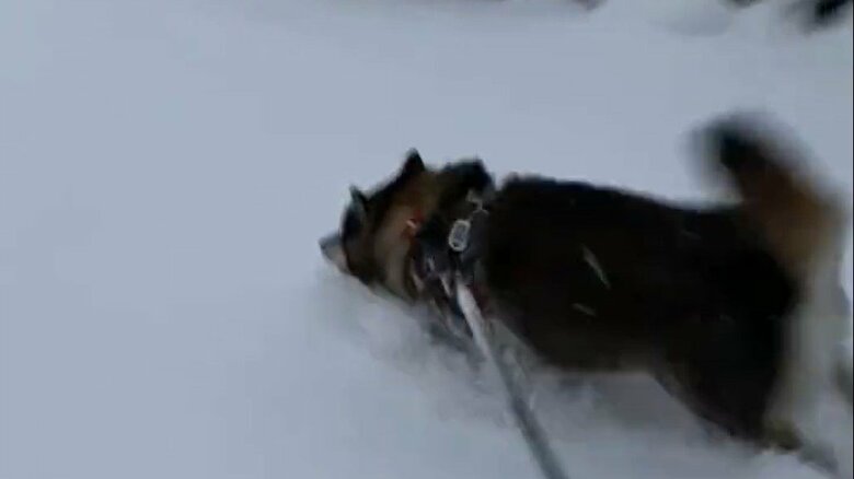 雪に突っ込む様子