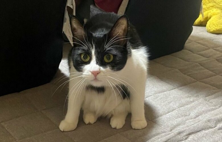 座り方おかしくない？（静ちゃん）