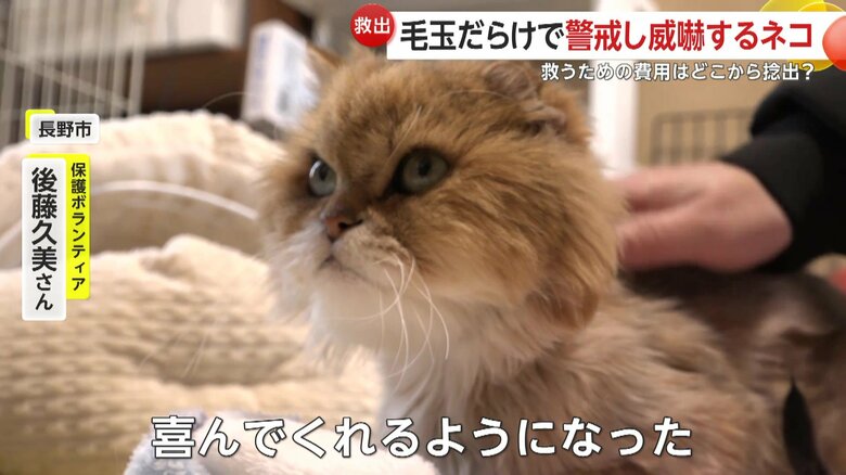 ボランティアの後藤さんになでられる雷くん