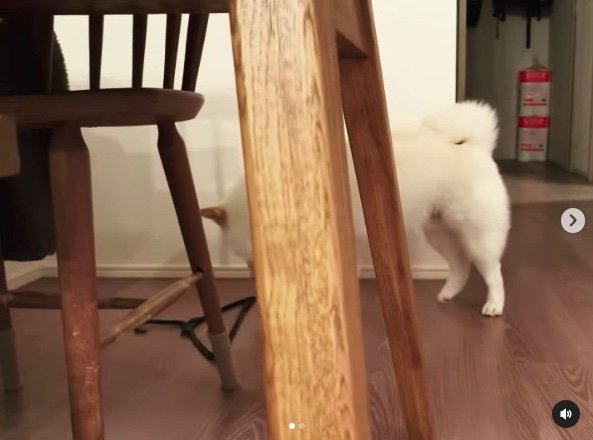 提供：ラッキーさん