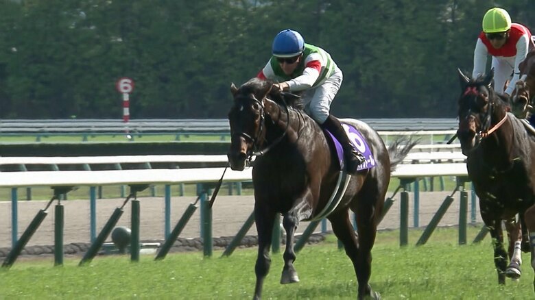 5月 天皇賞（春）を制したレーン騎手
