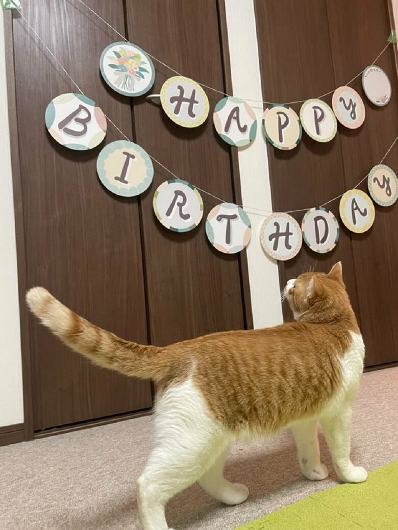 3月3日で1歳に！