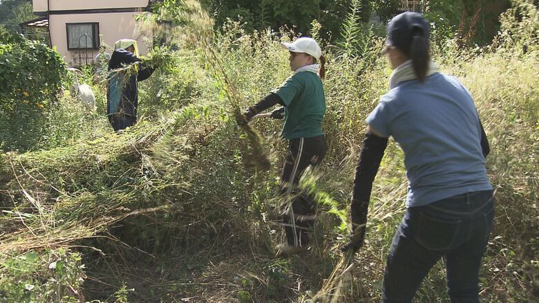 草を刈るヤギ親衛隊