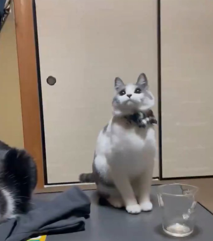 柚ちゃん（提供：連呼 cubnushi all-starさん）