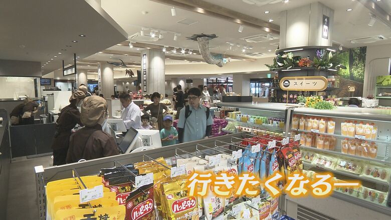 恐竜グッズもそろっている