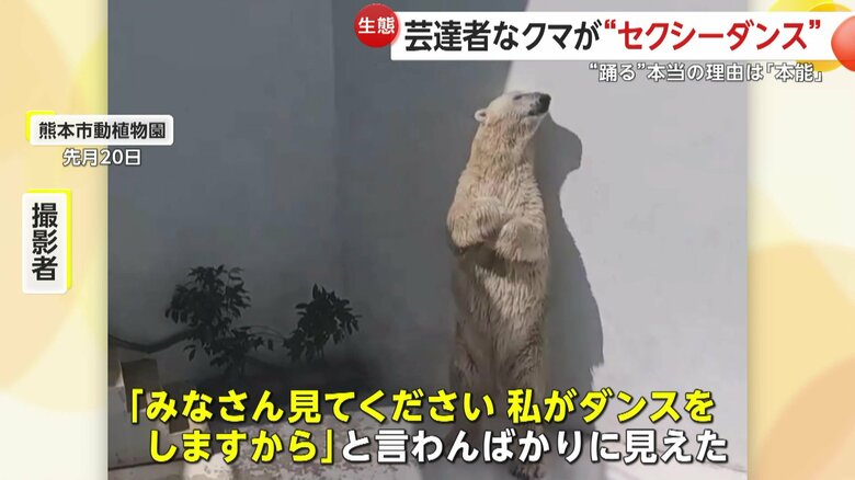 壁にもたれて2本足で立ち、両手で頭を抱えながら情熱的に腰をフリフリするマルル