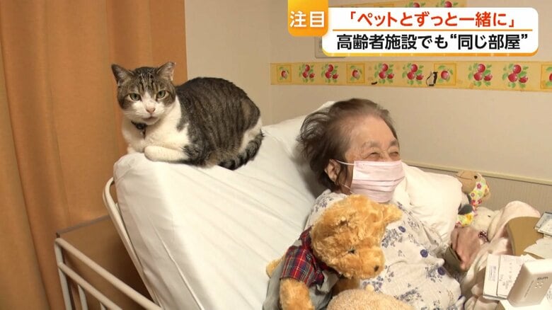 入居者のベッドの上にいる猫