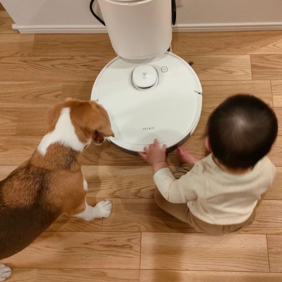 ロボット掃除機を見つめるふたり