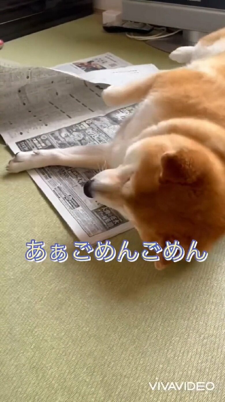 「あぁ、ごめんごめん」と動き出した