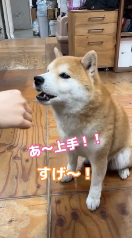 提供：エイトデザイン