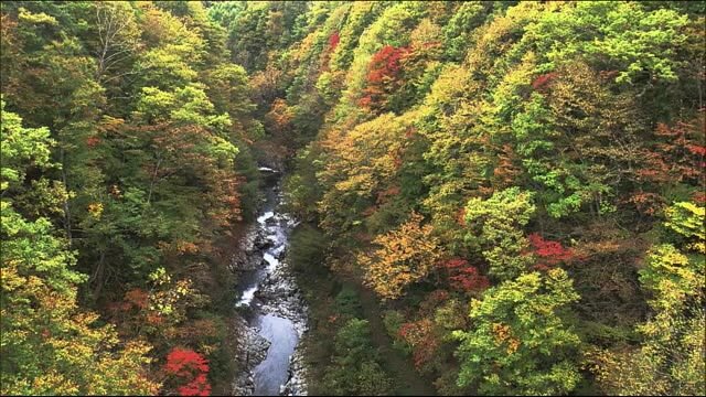 《ふくしまの紅葉》10月19日 裏磐梯・中津川渓谷