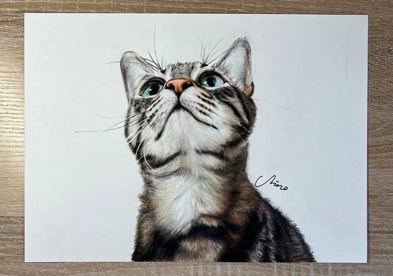 猫なども描いている