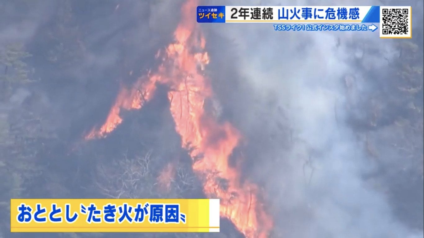 相次ぐ山火事に“新ルール”　罰則もある「林野火災注意報・警報」とは？　全国各地で1月から運用開始