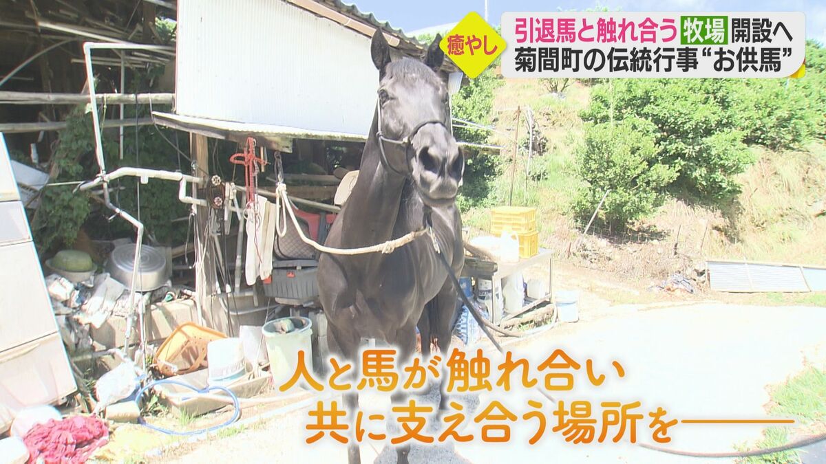 引退”する馬に「第3の舞台」を…ホースセラピーなどで触れあえる牧場