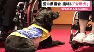 緊張感ある場の訓練で…愛知県議会本会議場に初めて『介助犬』入る 指示に従い静かに“伏せ”をして待機