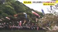 紫川の上を６００のこいのぼりが悠然と　地域の子供たちがこいのぼりあげる経験も　北九州市