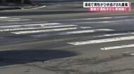 トラックでひき逃げか　横断歩道を渡っていた48歳男性が重傷　防犯カメラなどから車両を特定し運転手から事情聴く