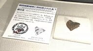 福岡城天守台での出土品を公開　発掘調査で見つかった瓦やくぎなど　10月18日まで　福岡市博物館