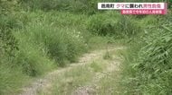 クマに襲われ男性負傷…島根・鳥取両県で今年初の人身被害　住民に警戒呼びかけ（邑南町）