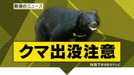 ”冬眠しないクマ”は新潟県関川村でも「道路上に0.5mのクマを見た」　クマはその後山の方向に逃げる