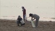 アカウミガメの産卵シーズン　宮崎市の海岸でボランティアによる清掃活動