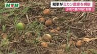  渇水で農作物に影響　ミカンの収量は平年の6～7割に　平田知事が長崎県佐世保市の農家を視察