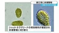 錦江湾に赤潮警報　鹿児島
